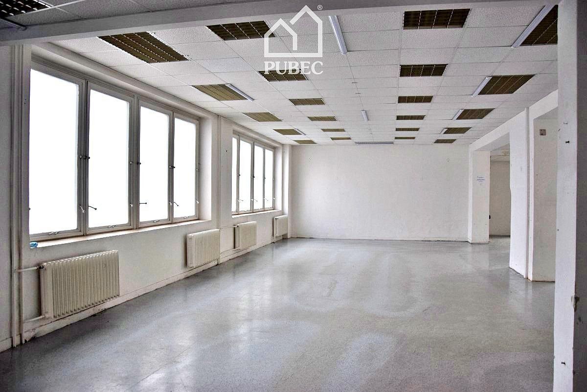 Pronájem obchodních prostor 254 m² – fotografie 4