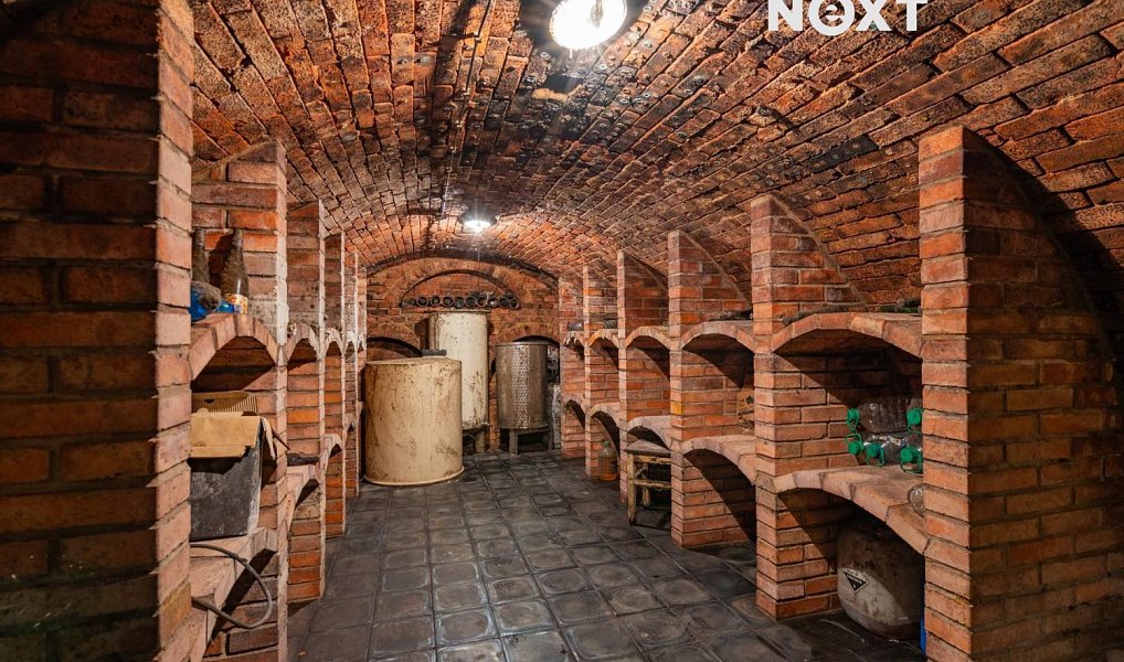 Prodej ubytovacího objektu 450 m², Mutěnice – náhled fotky 2
