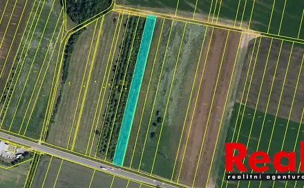 Prodej pole 5 651 m², Hodějice, okres Vyškov