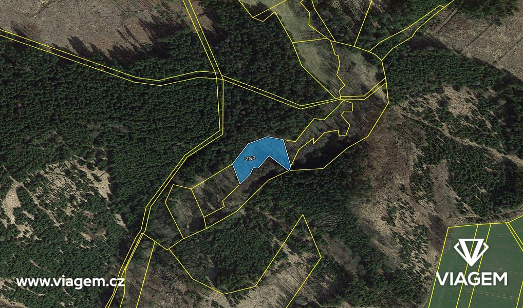 Prodej lesa 2 112 m², Zbizuby – náhled fotky 4