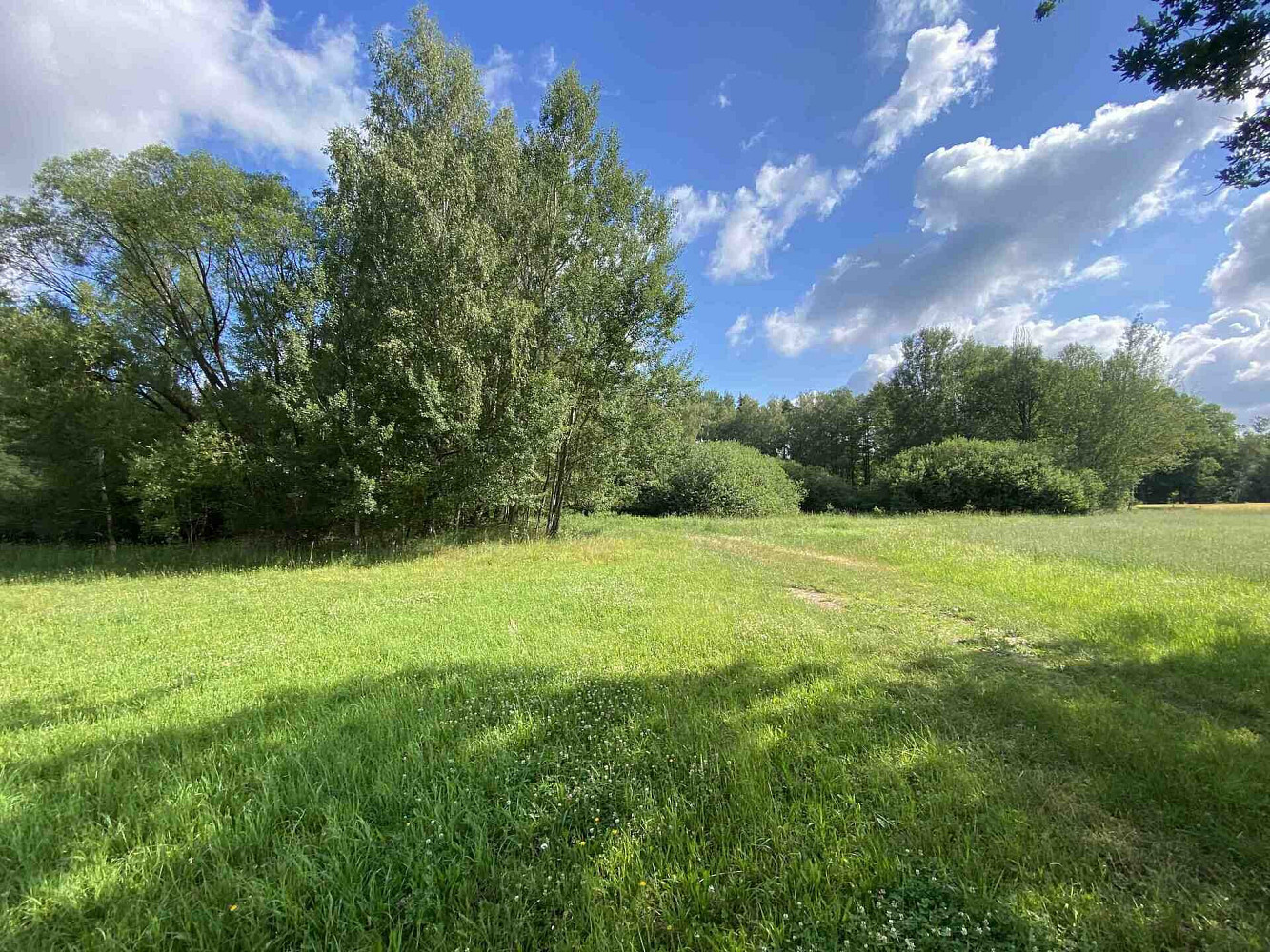 Prodej louky 10 951 m²