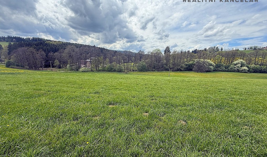 Prodej louky 17 174 m², Březiny – náhled fotky 5