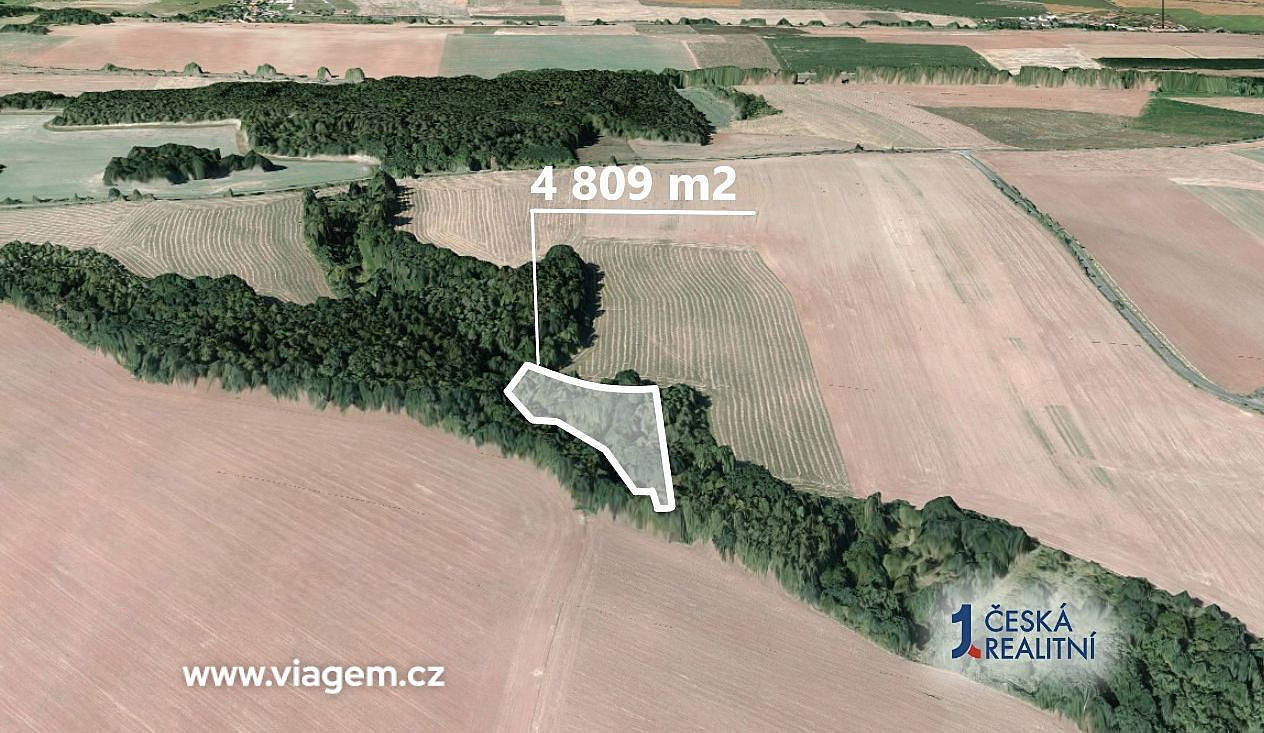 Prodej lesa 2 404 m² – fotografie 2