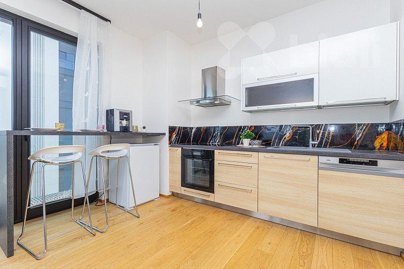 Pronájem bytu 3+kk 61 m² — photo 3