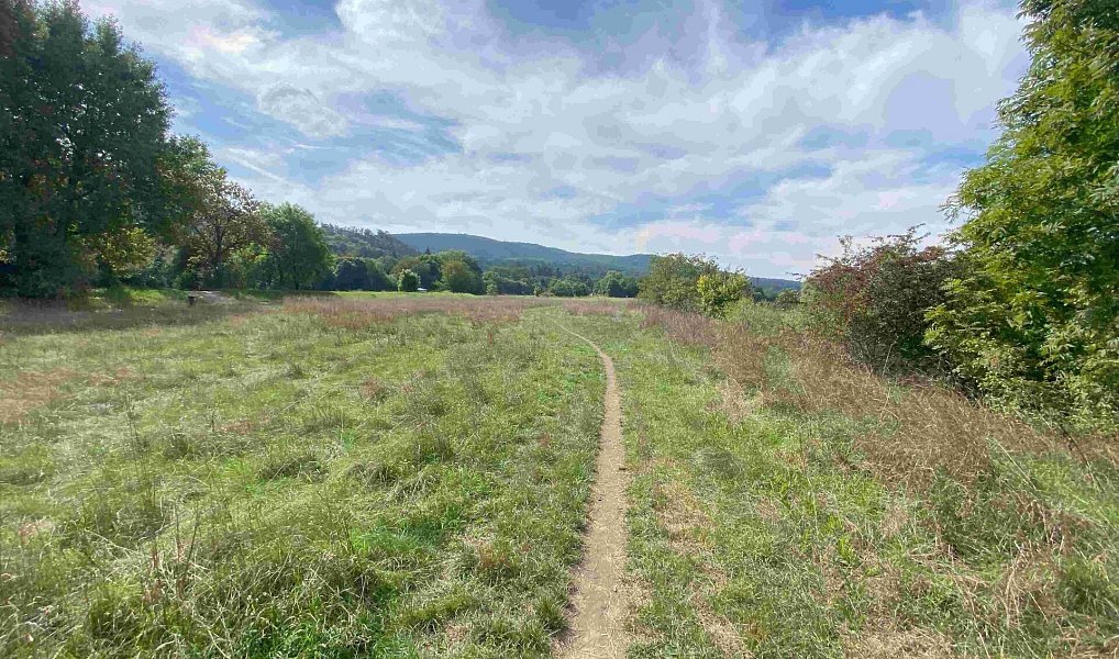 Prodej pozemku 601 m², Všenory – náhled fotky 4