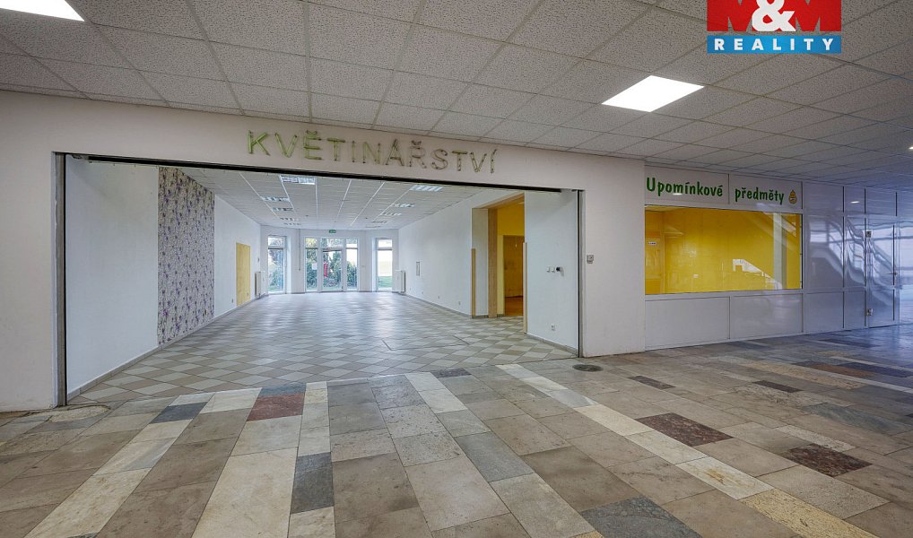 Pronájem obchodních prostor 133 m², Třemošná – náhled fotky 7