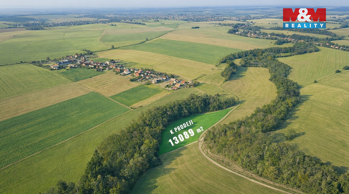 Prodej louky 13 089 m² — photo 2