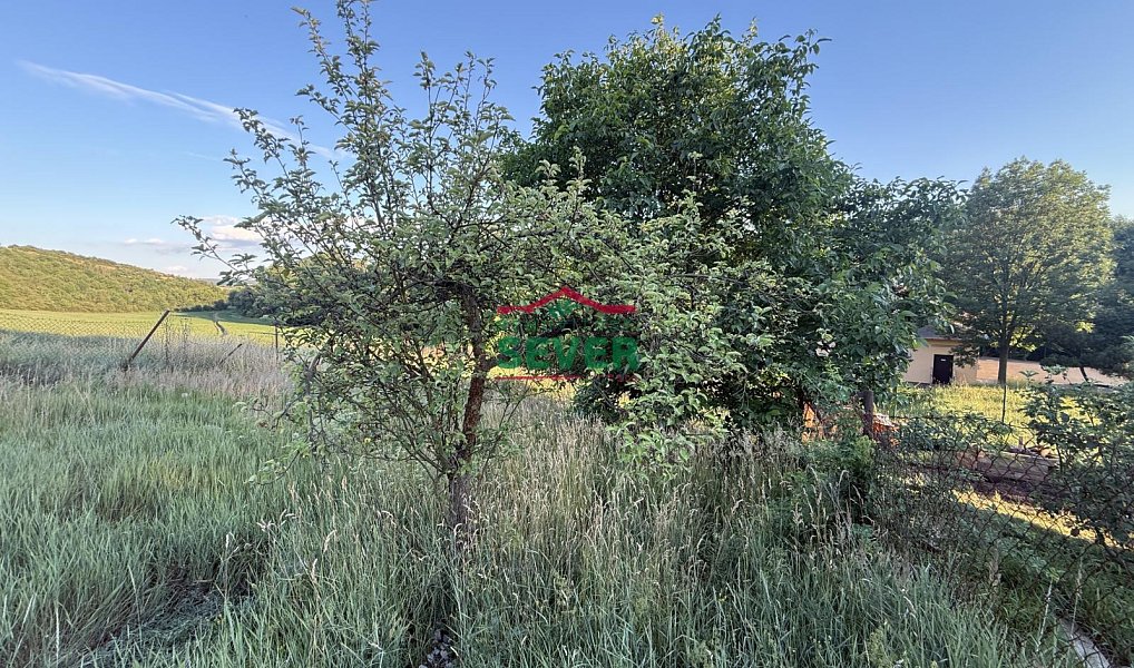 Prodej zahrady 541 m², Braňany – náhled fotky 4