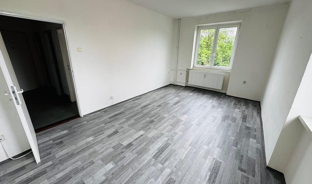 Pronájem bytu 1+1 36 m², Sokolov – náhled fotky 4