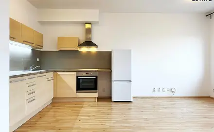Pronájem bytu 1+kk 42 m², Kigginsova, Brno - Slatina