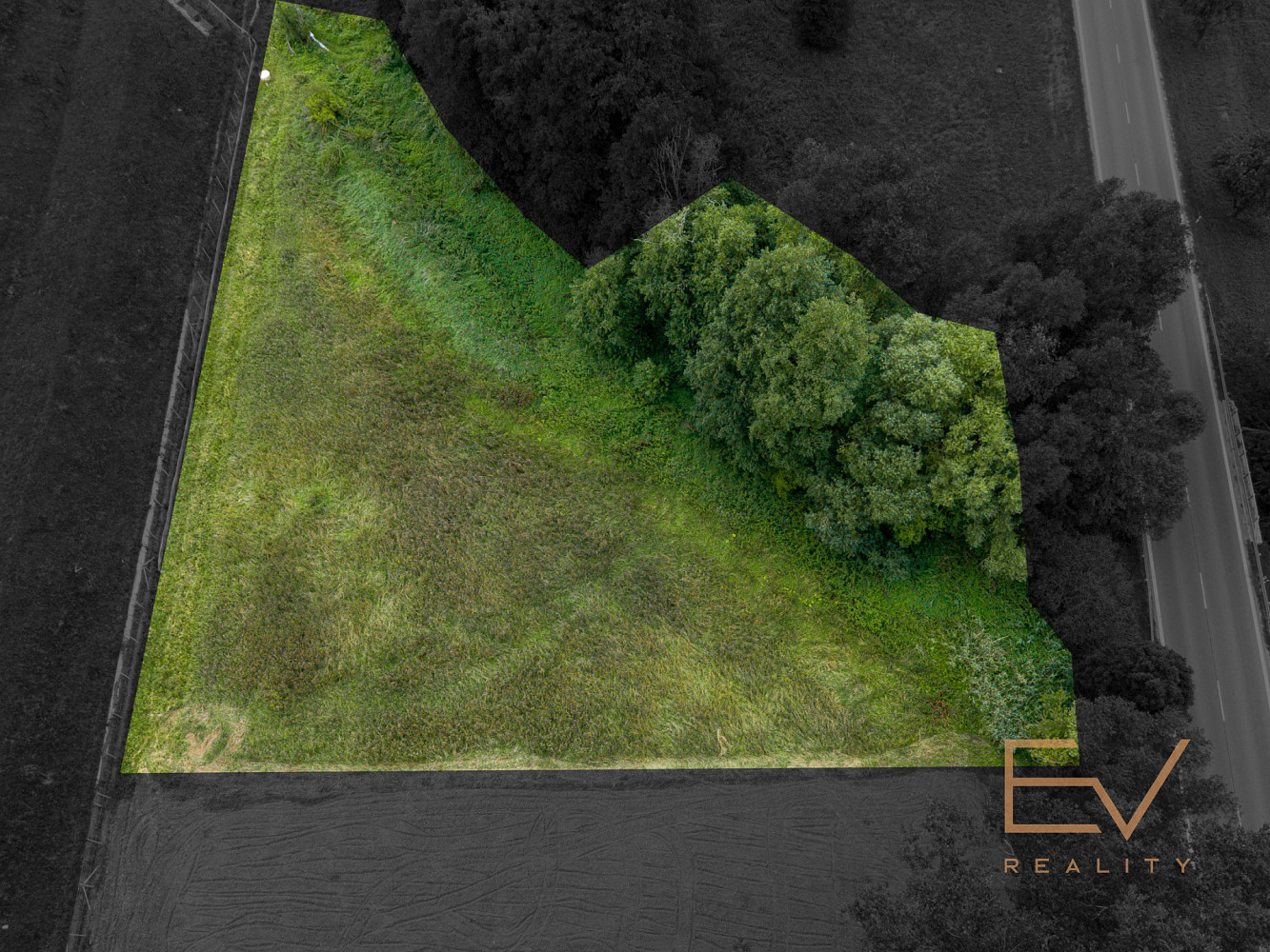 Prodej pozemku 3 603 m² – fotografie 3