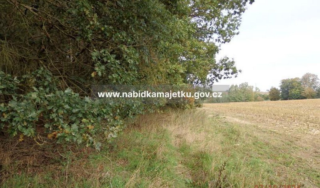 Prodej pole 1 044 m², Chotoviny – náhled fotky 2