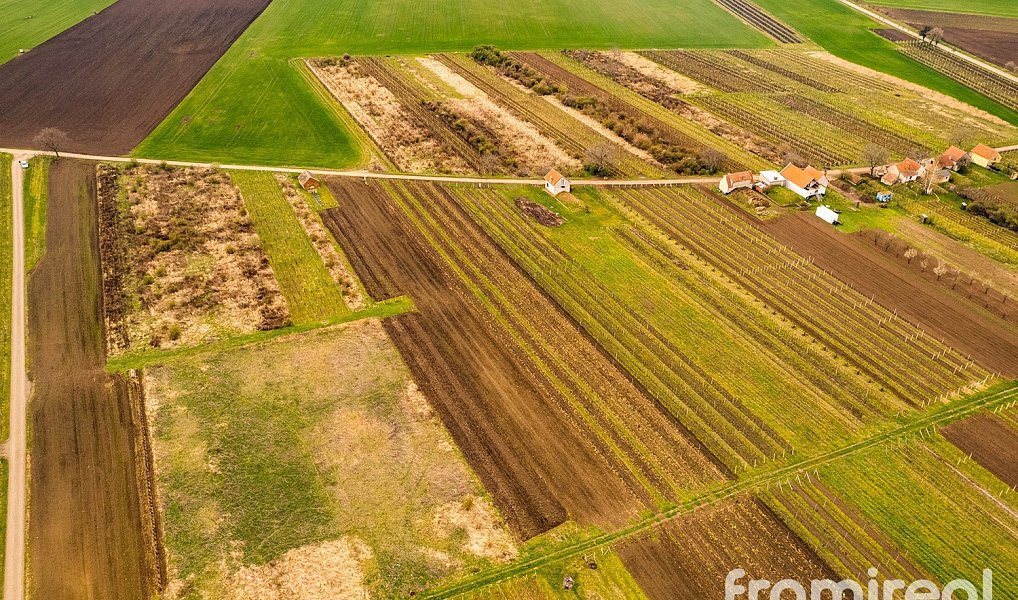 Prodej stavebního pozemku 3 646 m², Moravský Žižkov – náhled fotky 5