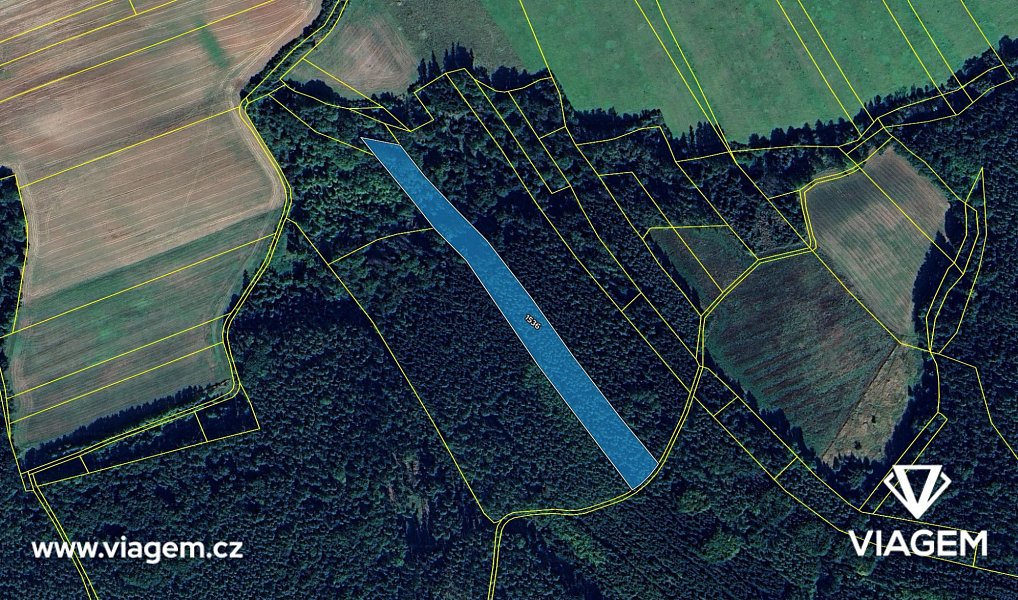 Prodej lesa 5 210 m², Pnětluky – náhled fotky 4