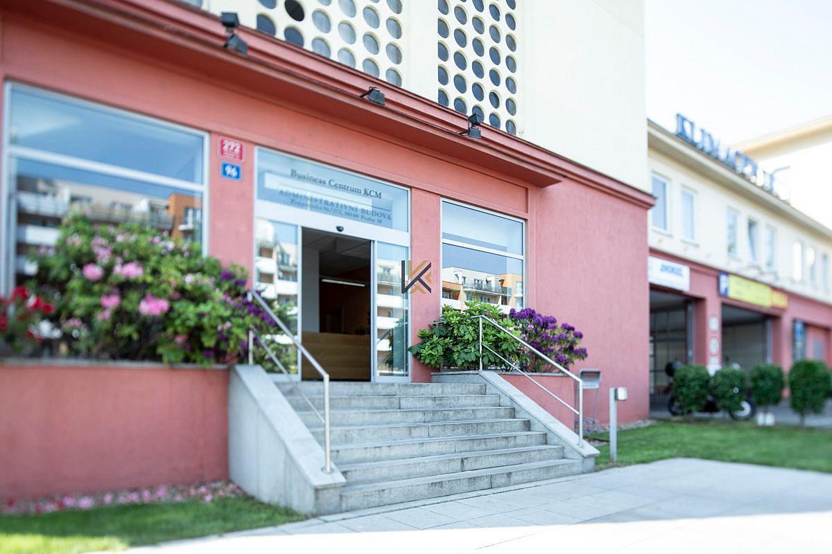 Pronájem obchodních prostor 274 m² – pohled 2