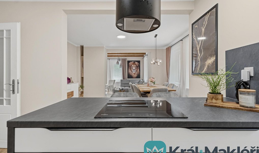 Prodej domu 266 m² s pozemkem 1 373 m², Chuderov – náhled fotky 9