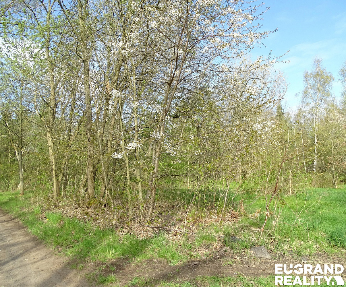 Prodej pozemku 740 m² – fotografie 2