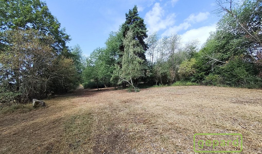 Prodej stavebního pozemku 14 307 m², Světlík – náhled fotky 8