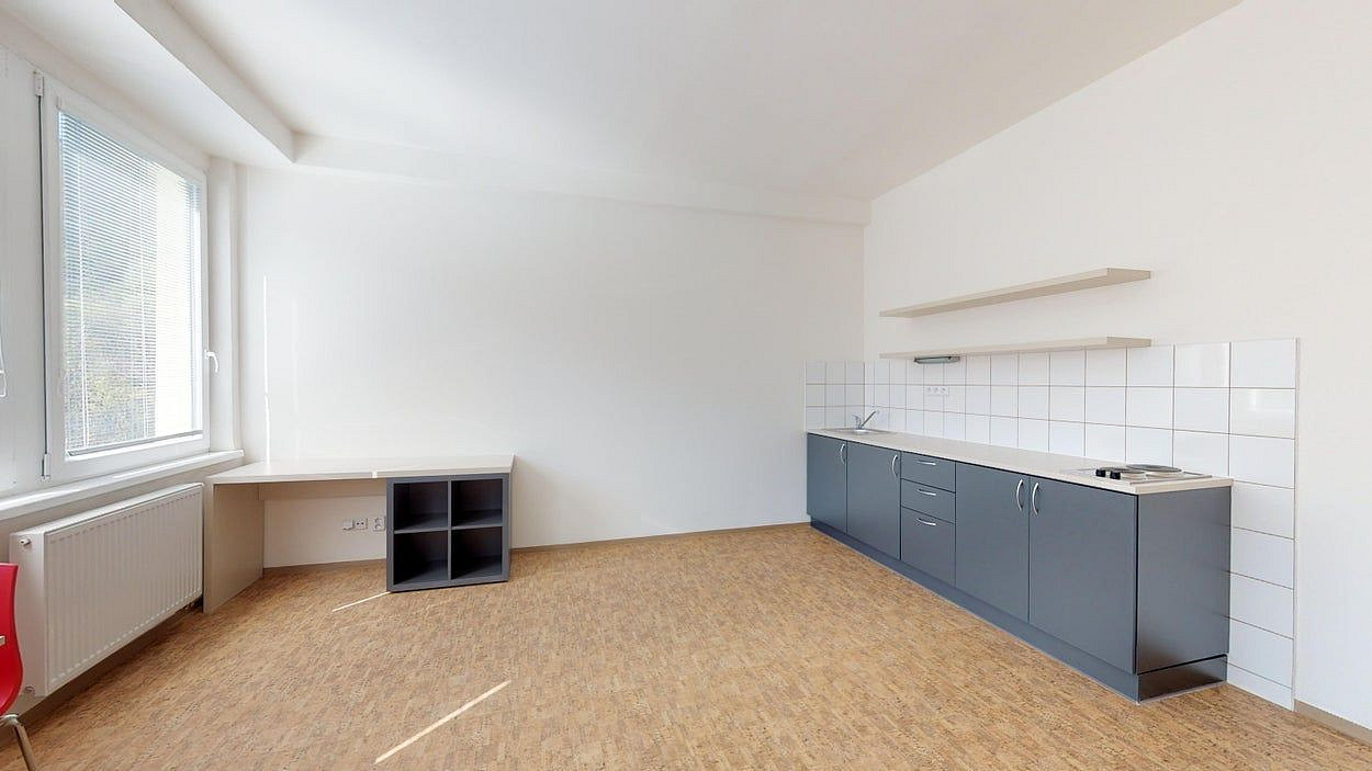 Pronájem bytu 1+kk 40 m² — photo 3