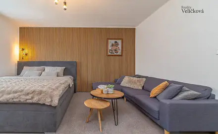 Prodej bytu 2+1 60 m², Břetislavova, Hradec Králové - Pražské Předměstí