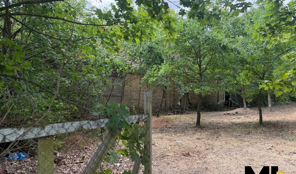 Prodej skladovacích prostor 340 m², Horšovský Týn – náhled fotky 4