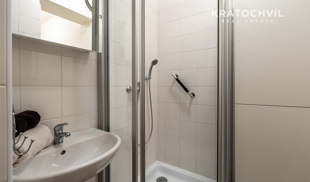 Pronájem bytu 3+kk 101 m², Praha – náhled fotky 17