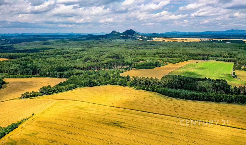 Prodej stavebního pozemku 1 250 m², Bělá pod Bezdězem – náhled fotky 9