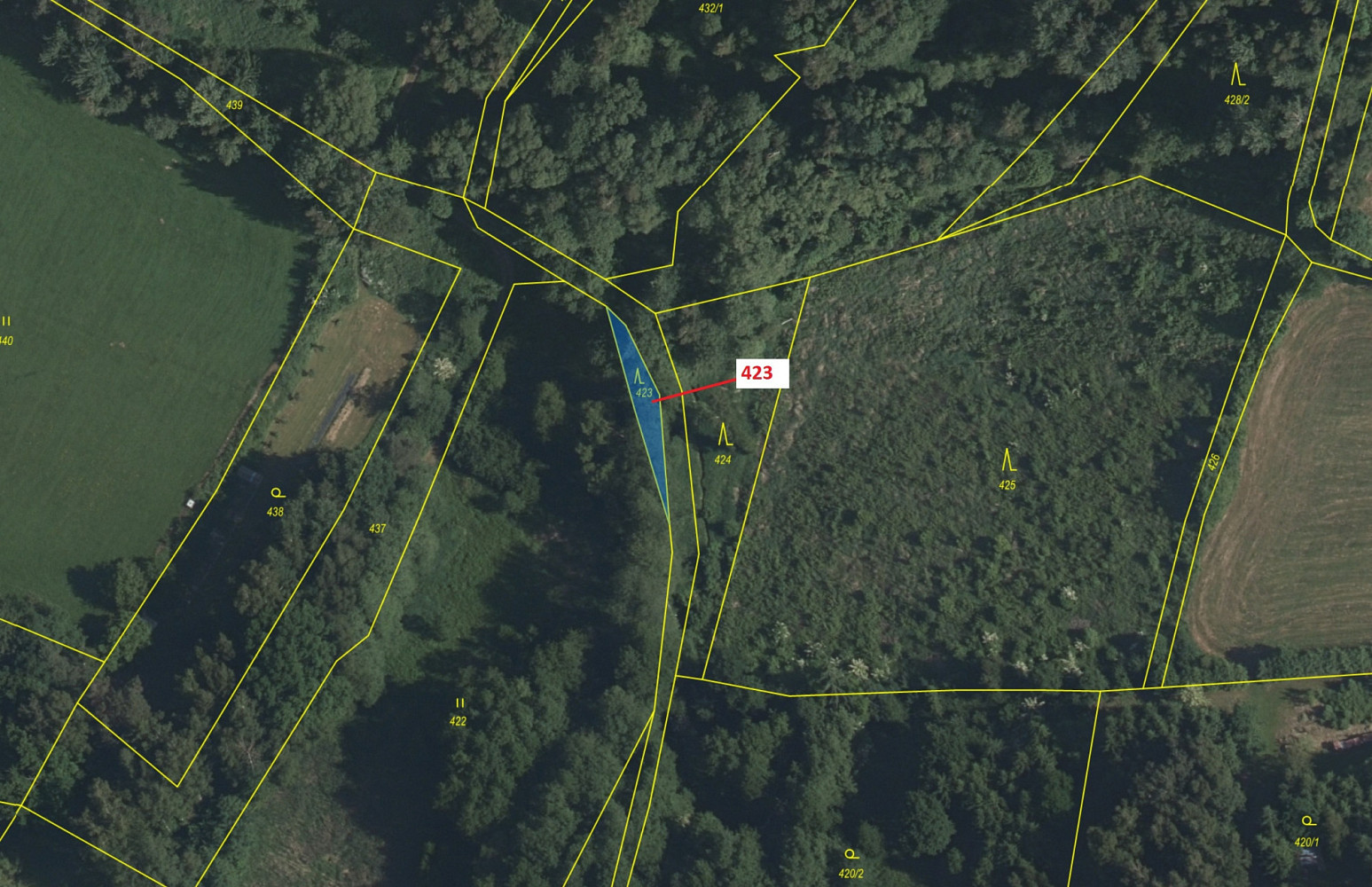 Dražba lesa 140 m² — photo 2
