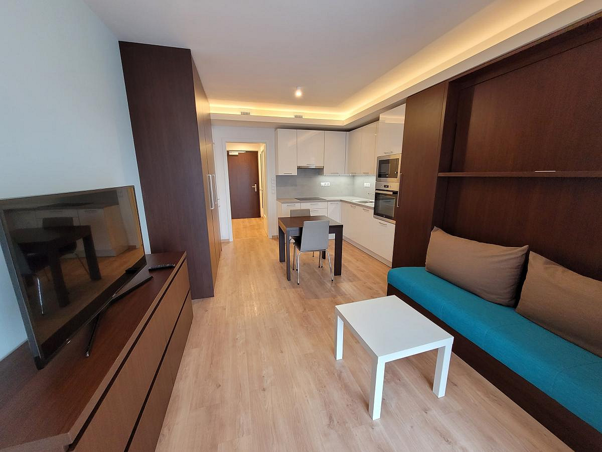 Pronájem bytu 1+kk 34 m² — photo 3