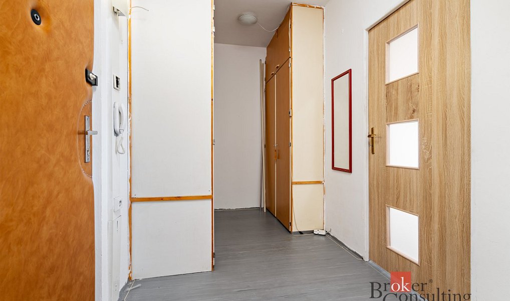 Prodej bytu 1+1 47 m², Plzeň – náhled fotky 7