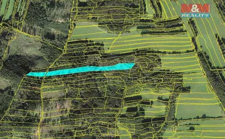 Prodej lesa 10 970 m², Lešná, okres Vsetín