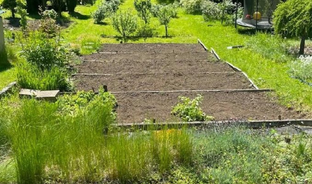Prodej zahrady 258 m², Havířov – náhled fotky 8