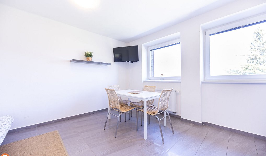 Prodej chaty/chalupy 450 m² s pozemkem 3 353 m², Staré Město – náhled fotky 6