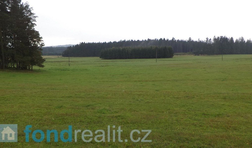 Prodej pozemku 10 628 m², Nová Bystřice – náhled fotky 3