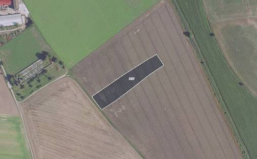 Prodej pole 5 187 m², Jíkev, okres Nymburk