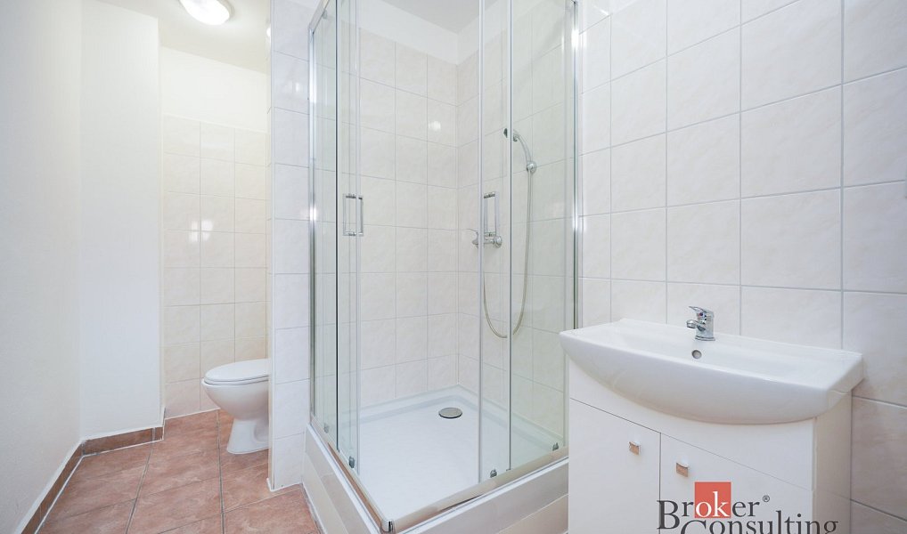 Pronájem bytu 2+kk 52 m², Mlékojedy – náhled fotky 9