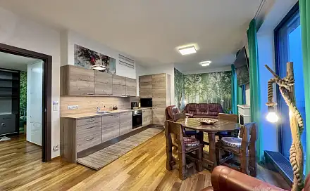 Pronájem bytu 2+kk 72 m²