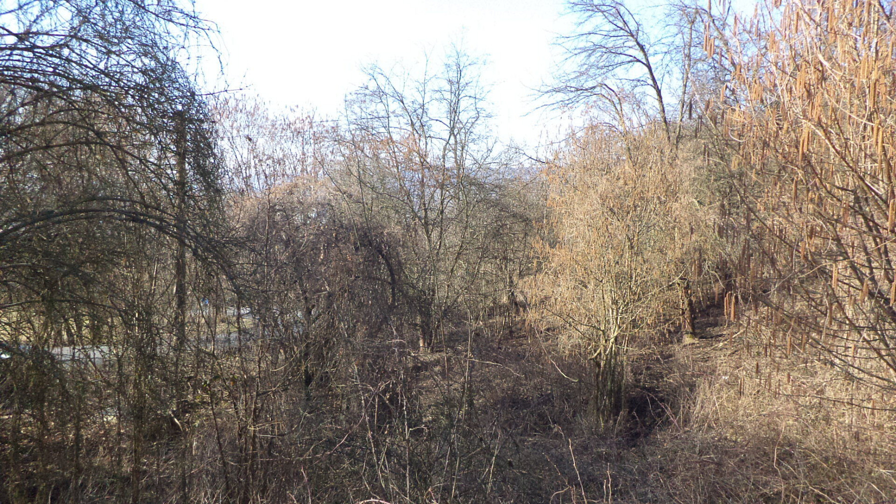Prodej zahrady 1 700 m² – pohled 3