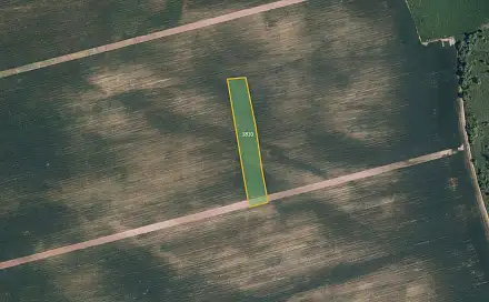 Prodej pole 6 477 m², Boleradice, okres Břeclav