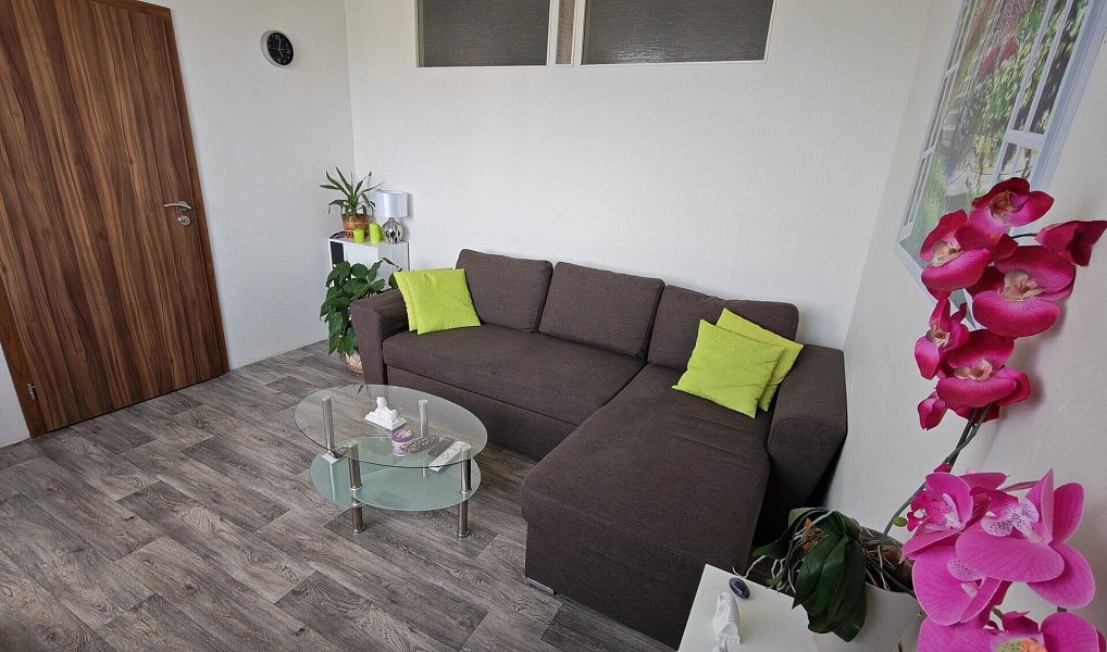 Prodej bytu 1+1 45 m², České Budějovice – náhled fotky 3