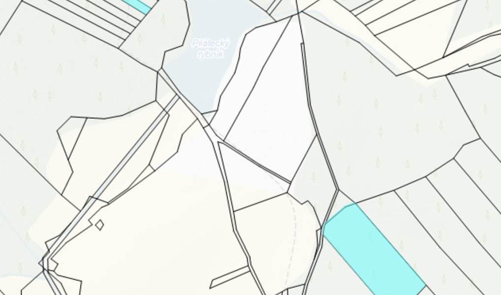 Prodej lesa 7 873 m², Mrákotín – náhled fotky 2