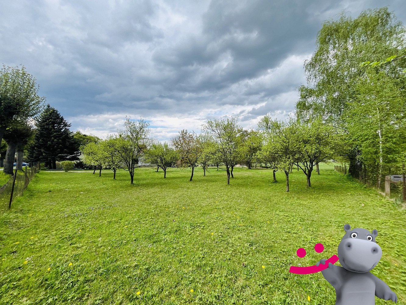 Fotka 4 z 6