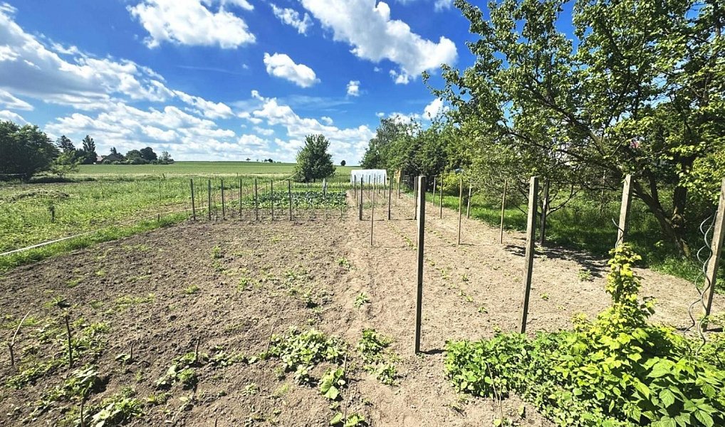 Prodej zahrady 1 306 m², Dolní Bezděkov – fotka 1 z 8