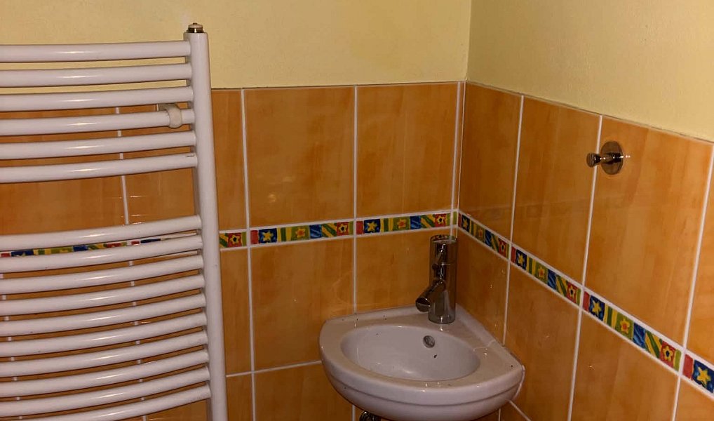 Pronájem domu 170 m² s pozemkem 1 240 m², Frýdlant nad Ostravicí – náhled fotky 20