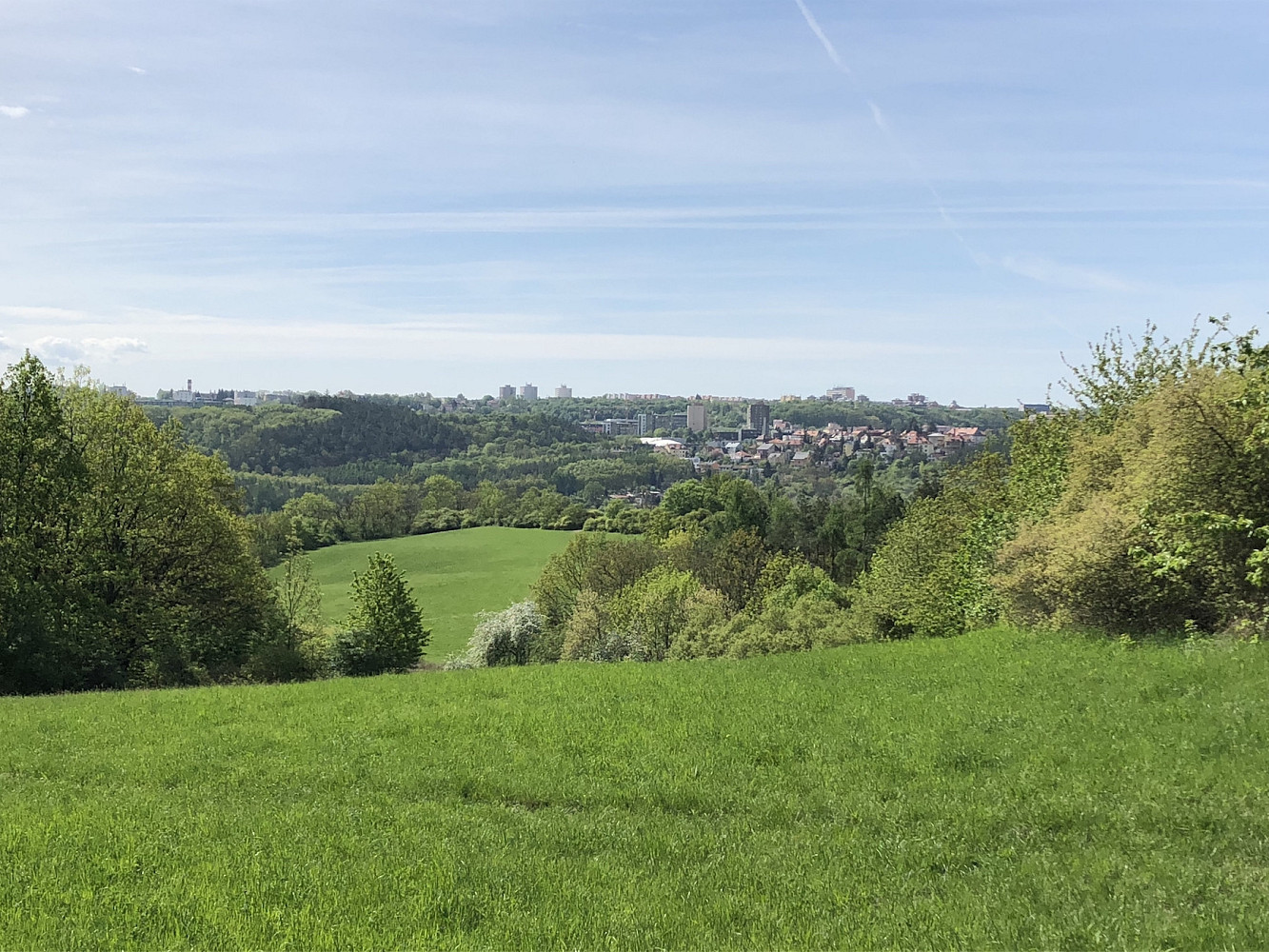 Prodej louky 24 023 m² – fotografie 3