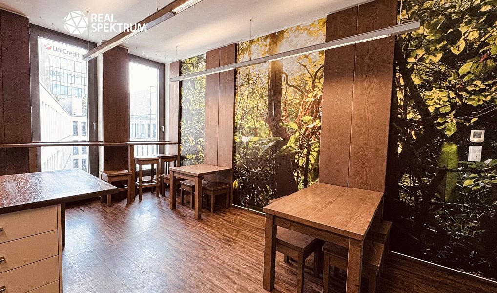 Pronájem kanceláře 374 m², Brno – náhled fotky 4
