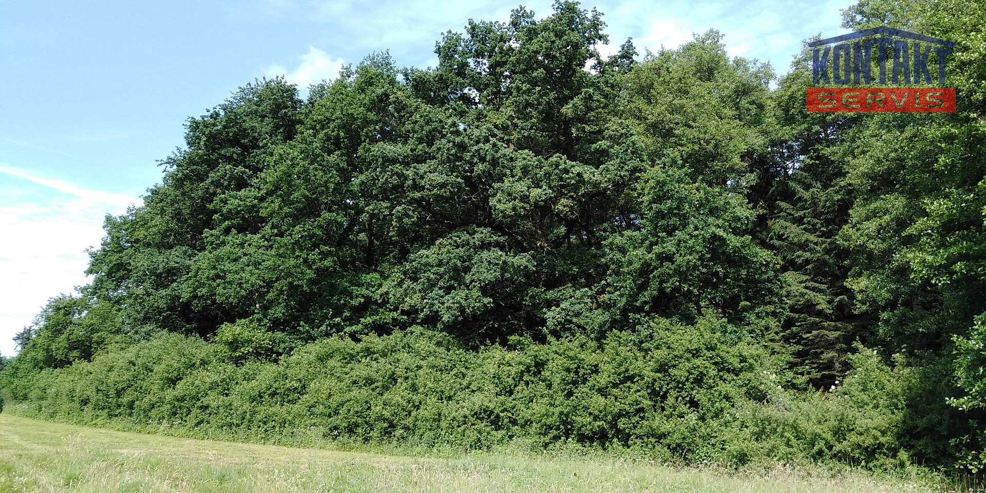 Prodej lesa 9 268 m²