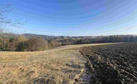 Prodej pole 28 066 m², Semily - Spálov