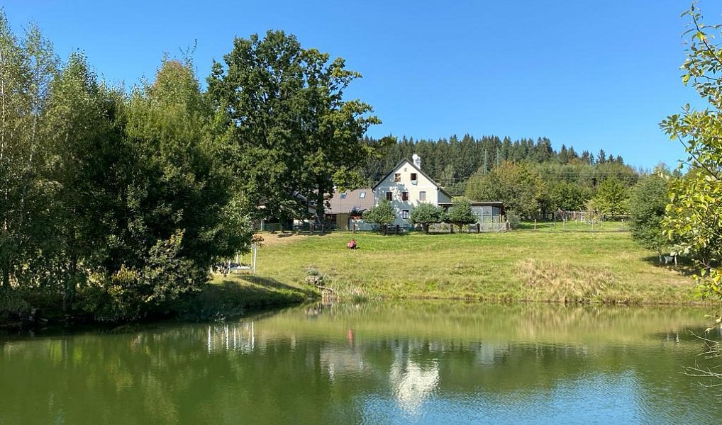 Prodej domu 472 m² s pozemkem 19 274 m², Malšín – náhled fotky 4