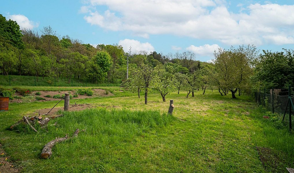 Prodej zahrady 1 052 m², Pozořice – náhled fotky 14